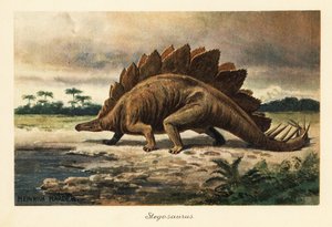 Geç Jura dönemine ait Stegosaurus armatus.