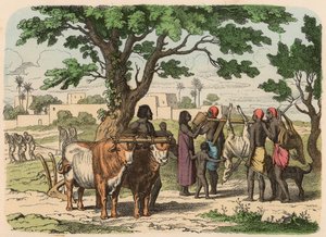 Antik Mısır: çiftçilik ve avcılık by Heinrich Leutemann