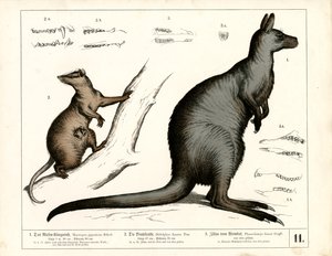  by Heinrich Leutemann
