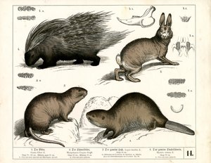  by Heinrich Leutemann