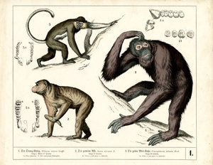  by Heinrich Leutemann