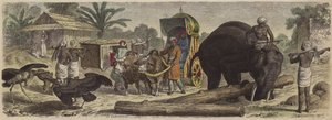 Bengal, Hindistan