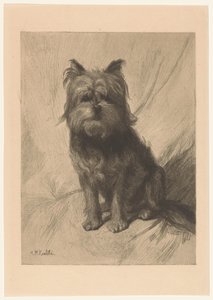 Hollandalı smoushond by Heinrich M. Krabbé