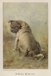 Bir Troublemaker (renkli gravür) by Heinrich Sperling