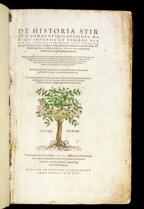 Rodolphe Speckle (d.1550) tarafından oyulmuş Leonard Fuchs (1501-66) tarafından 