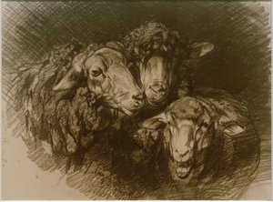 Koyun by Heinrich von Zügel