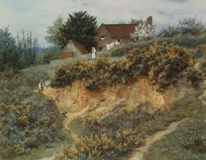 Sandhills, Witley