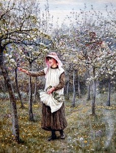 Blossom Time (kağıt üzerine sulu boya) by Helen Allingham