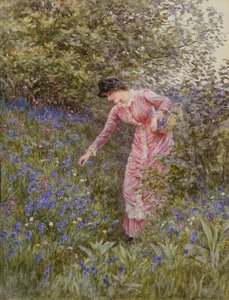 Bluebells Toplama (kağıt üzerinde gövde rengi ile klozet) by Helen Allingham