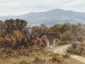 Sandhills, Witley
