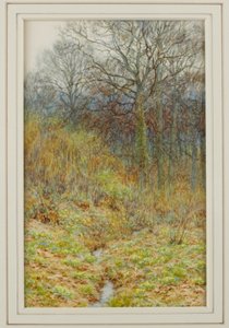 Çuha çiçeği Ağacımız, 1913 by Helen Allingham