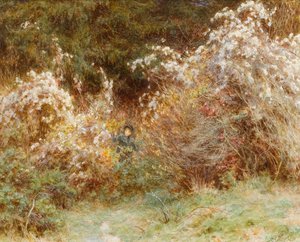 Travellers Joy: Bir Surrey Hedgerow (kağıt üzerinde wc) by Helen Allingham