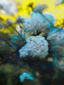 Mayıs ayı çiçek açması, 2019 by Helen White
