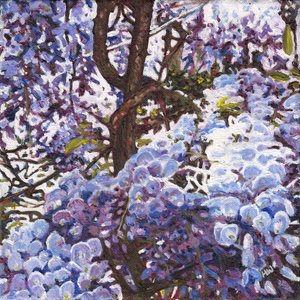 Mavi Wisteria, 2012 by Helen White