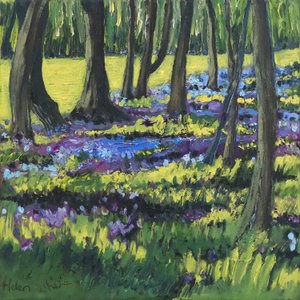 Bluebell Ahşap, 2008 by Helen White
