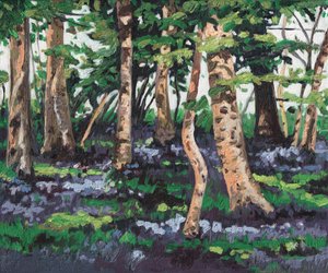Bluebell ahşap, 2009,
