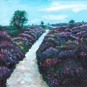 Heathland Heather, 2009 by Helen White