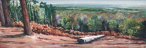 Yüksek Sırt, 2009 by Helen White