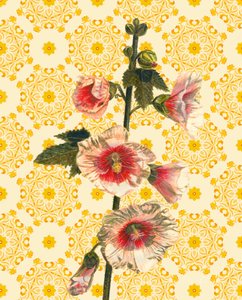 Hollyhocks on Sunshine, 2021 (suluboya) by Helen White