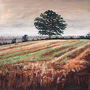 Öğleden Sonra Tarlası, 2009 by Helen White