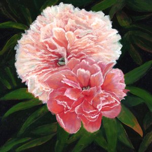 Magdalen College Peonies, 2023 (tuval üzerine yağlıboya)