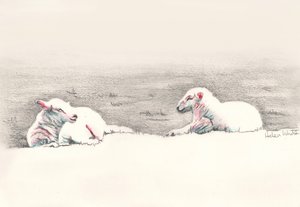 Uyuklayan, 2016, (karakalem) by Helen White