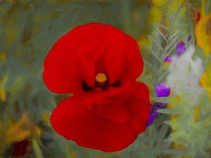 Kızıl, 2019 by Helen White