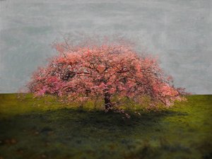 Tek Başına Güzellik, 2019 by Helen White