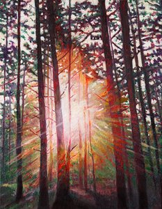 Güneş patlaması, 2010 by Helen White