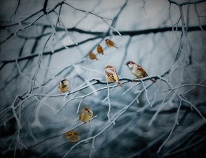 Hayatla İç içe, 2019 by Helen White