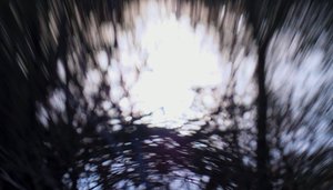 Su halısı III, 2017, (manipüle edilmiş fotoğraf)