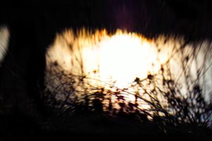 Su halısı II, 2017, (manipüle edilmiş fotoğraf)