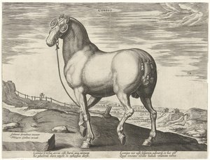 Korsika