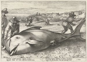 Zandvoort sahilinde mahsur kalan pilot balina, 1594 by Hendrick Goltzius (workshop of)