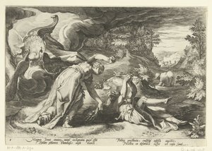 Juno, Callisto