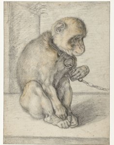 Zincirde Oturan Maymun Zincire Bağlanmış Maymun, Oturmuş by Hendrick Goltzius