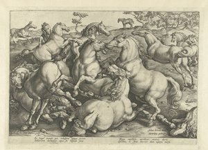On iki dövüş atı Avusturya Don Juan Kraliyet Ahırlarından At Irkları (seri başlığı) by Hendrick Goltzius
