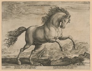 vahşi at Eqvvs liber et incompǒsitvs (nesne üzerindeki başlık) Avusturya Don Juan Kraliyet Ahırlarından At Irkları (seri başlığı) by Hendrick Goltzius