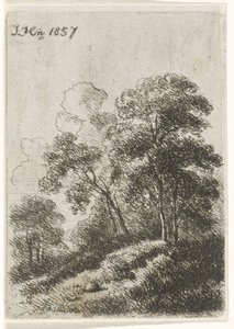 Bir tepe üzerinde ağaçlar by Hendrik Jan Hein