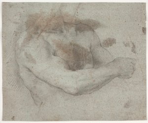 Erkek üst vücut by Hendrik Krock