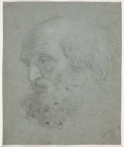 Sakallı Adamın Başı (Havari Petrus) by Hendrik Krock