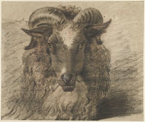 Bir koç başı by Hendrik Stokvisch