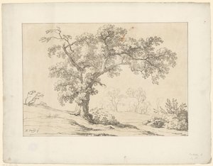Peyzajdaki ağaç Tentamina Lithographica (dizi adı) İtalyan manzaraları (dizi başlığı)