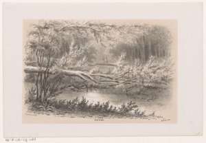 28 Mayıs 1860 fırtınasından sonra ağaç havaya uçtu Gölet (nesne üzerindeki başlık) Tooneelen of the Destruction, Gravenhaagsche Bosch