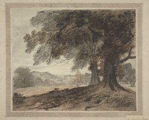 Knole Park'ta