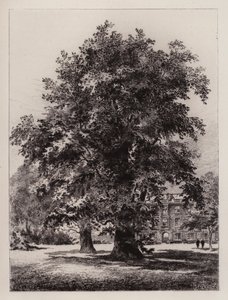 Cambridge: İsa Koleji Bahçesi (gravür)