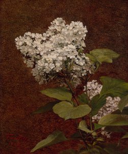 Beyaz Leylaklar by Ignace Henri Jean Fantin Latour