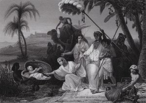 Musa
