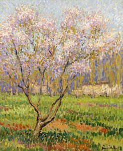 Çiçekte Elma Ağacı; elma çiçekleri, by Henri Martin