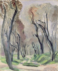 Zeytin Ağaçları Bulvarı by Henri Matisse